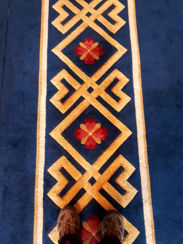 Amazing Carpet