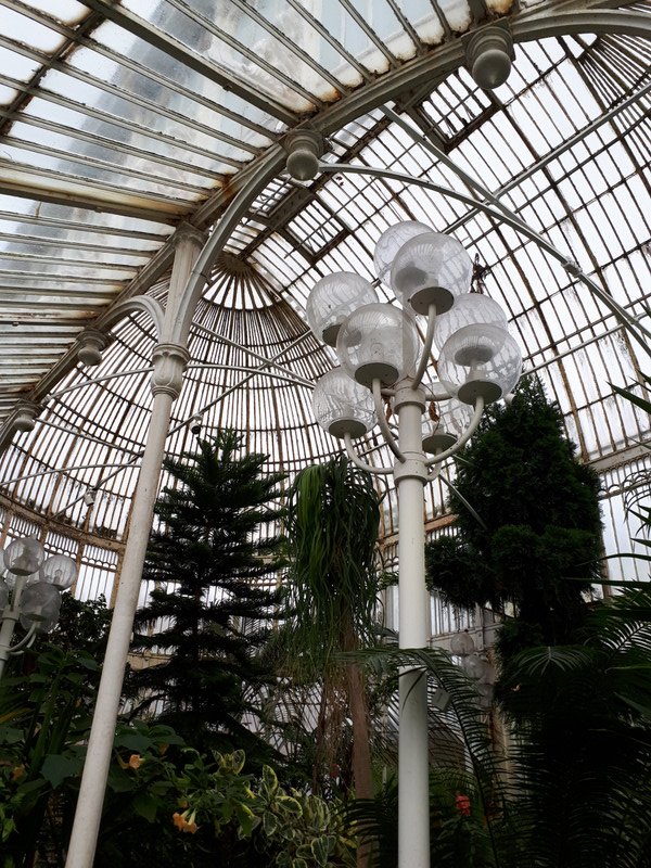 Rought Iron Palm House