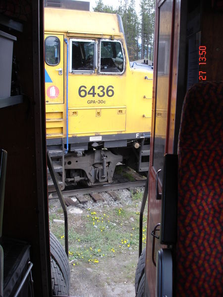 Train from the Backdoor