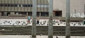 Pigeon Plaza