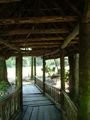 bridge to parque amazonico
