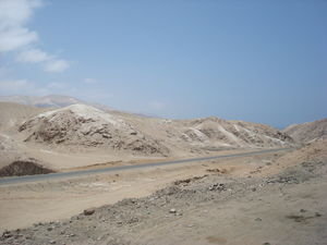 Brown and Beige Desert
