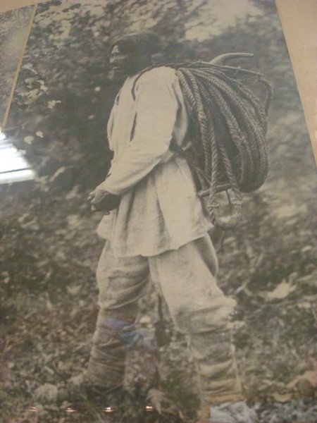 Old Photo of Honey Gatherer