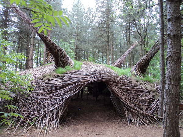 A Willow Construct