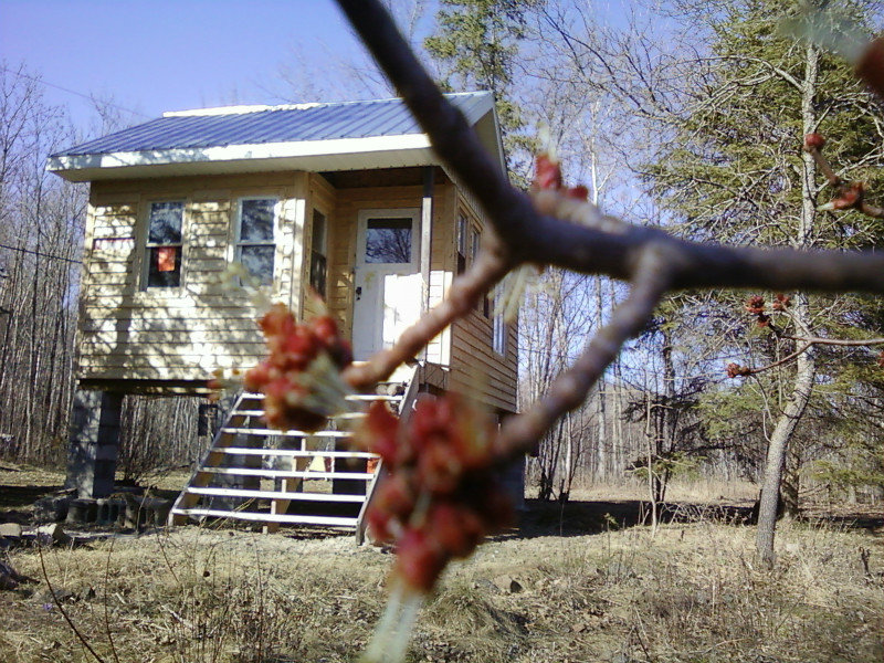 Cabin in Spring