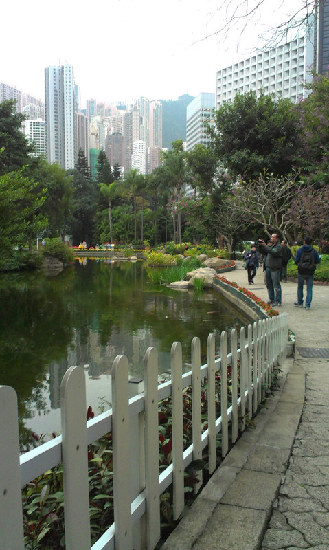 Pool in HongKong Park