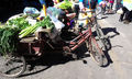 Tricycle to Market