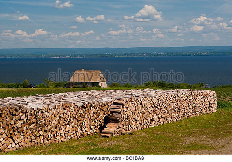 Masses of wood stacked in front and beside many homes
