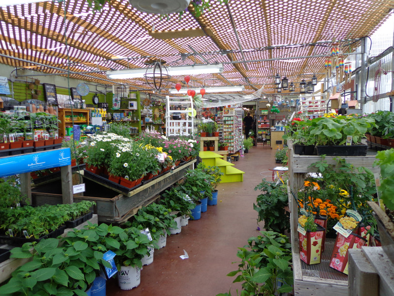 Garden Centre at Masstown Market