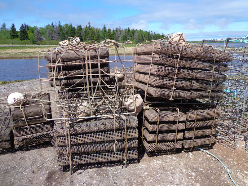 Cages for Oysters
