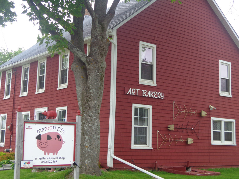The Maroon Pig 