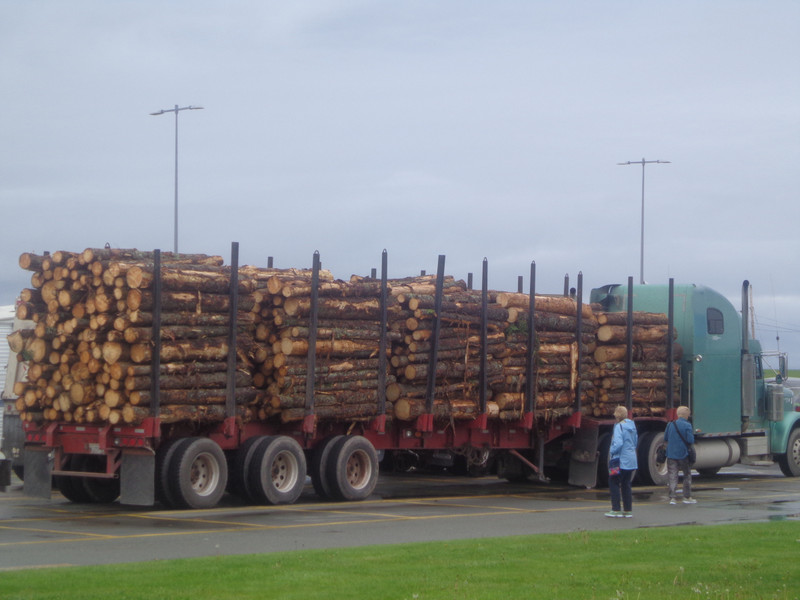  Transporting Logs