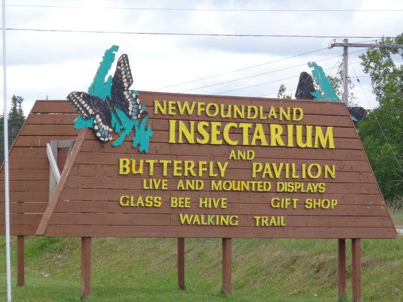 Only  One Insectarium in Nfld.