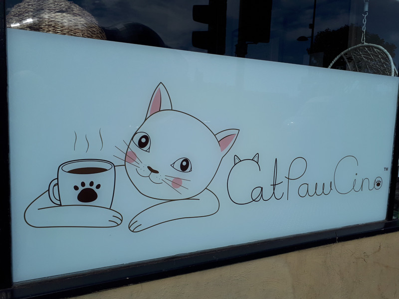 CatPawCino