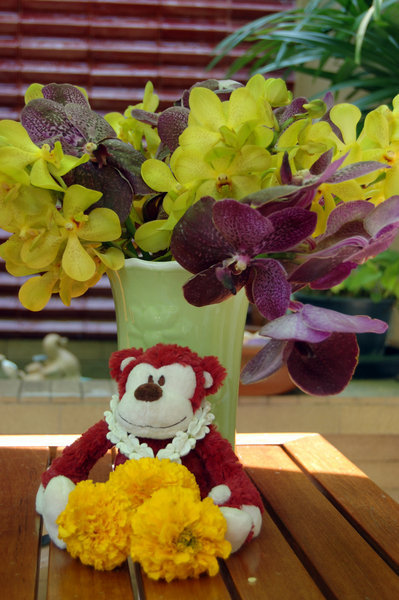 Flowers and Monkey