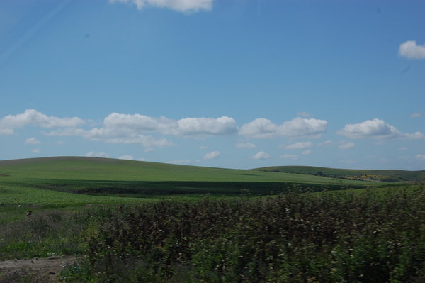 Spanish countryside looking like Windows desktop