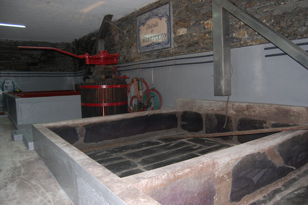 Vats for stomping grapes