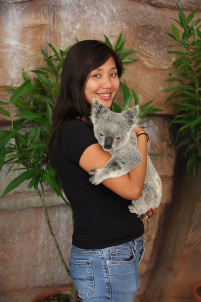 Somala Koala