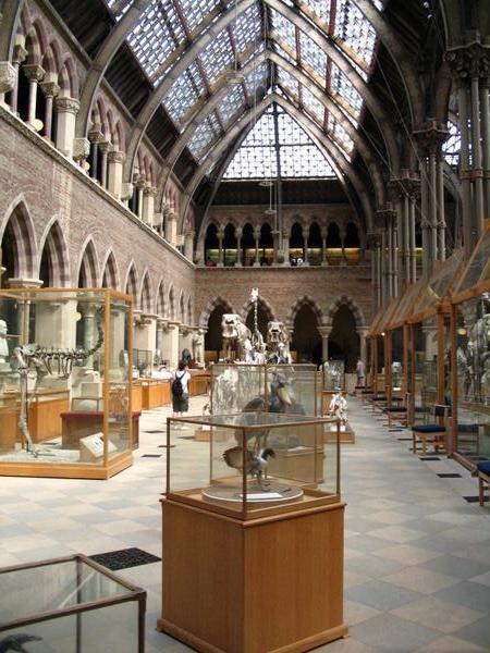 Oxford Natural History Museum