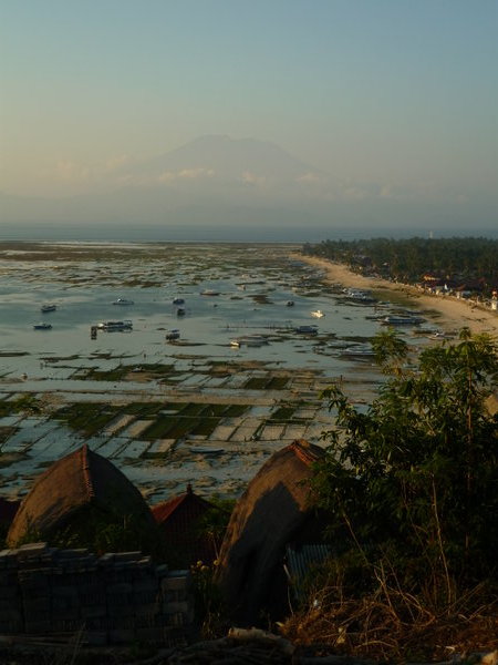 seaweed farms and bali volcano