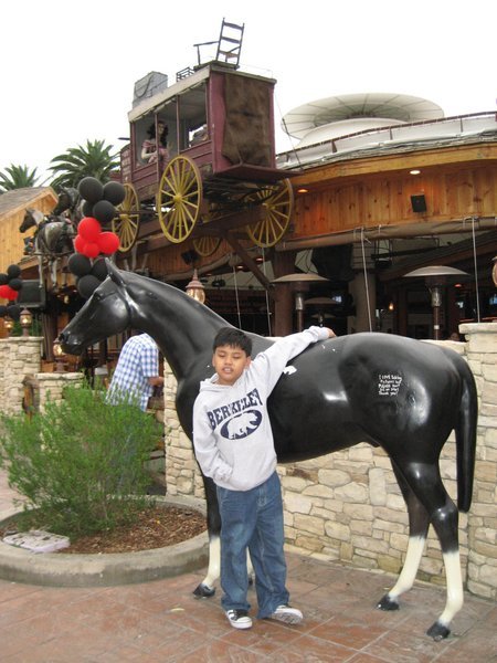 Paolo's Fav Horse