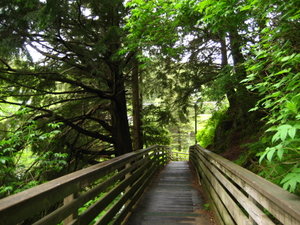 Married Man's Trail in Ketchikan