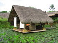 Hut On a Lily Pond