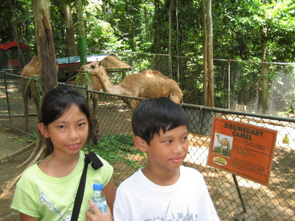 Inside the Zoo