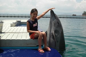 Close Encounter With A Dolphin