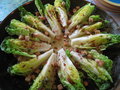 Baby Romaine Salad 