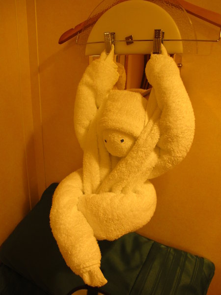 Monkey Towel?