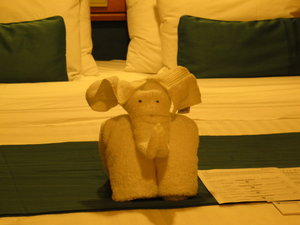 Elephant on my bed