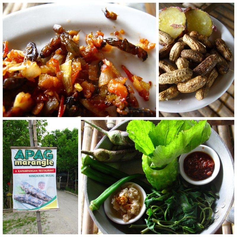 Exotic food from Pampanga