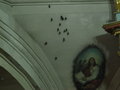 Bats Guarding the Altar?