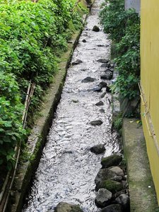 A Bubbling stream in Pakil