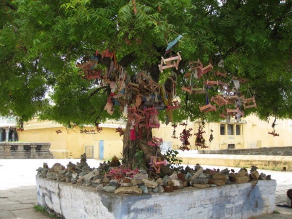 Baby Blessing Tree