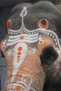 Painted Blessing Elephant