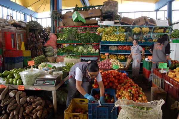 A selection of fruits at the market