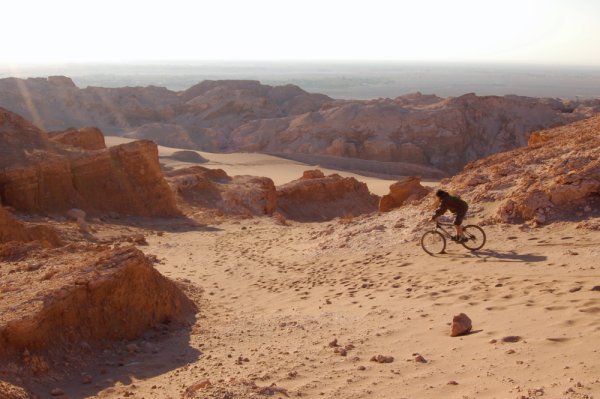 Cycling in the desert on a bike with no name