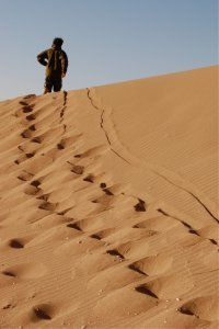 Wandering in the desert