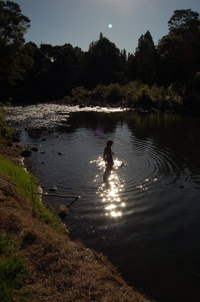 Swimming at dusk - LOVE IT
