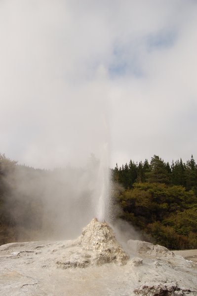 The 'timely' Lady Knox Geyser