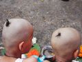 The boys shaved heads and chotis