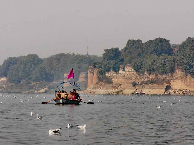 Returning from the Sangam
