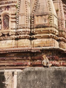A temple by a ghat - and a monkey