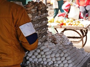 Eggs galore in the chicken market