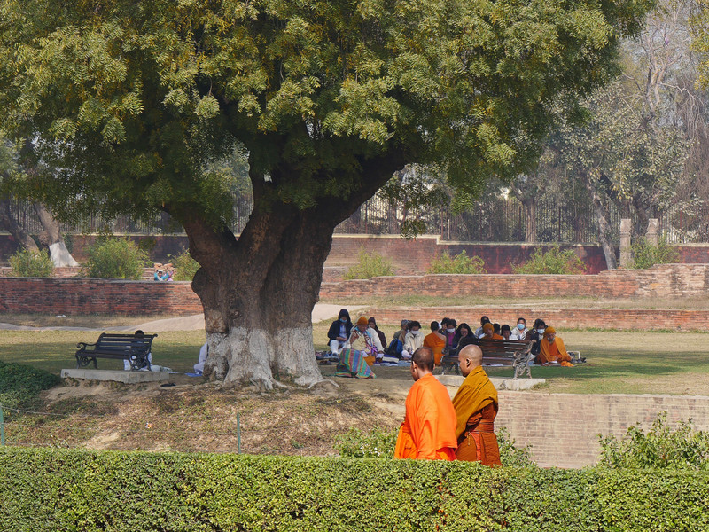 Monks and pilgrims among the spacious gardens