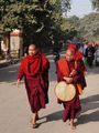 Tibetan monks on their way to the Dhamek Stupa