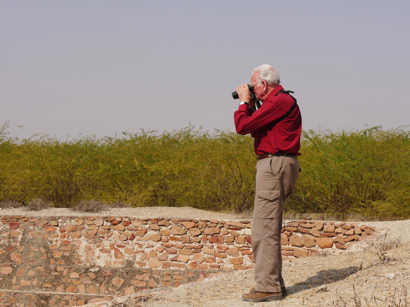 David looking for the owl near Tal Chhapar