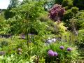Coleton Fishacre - the terrace garden